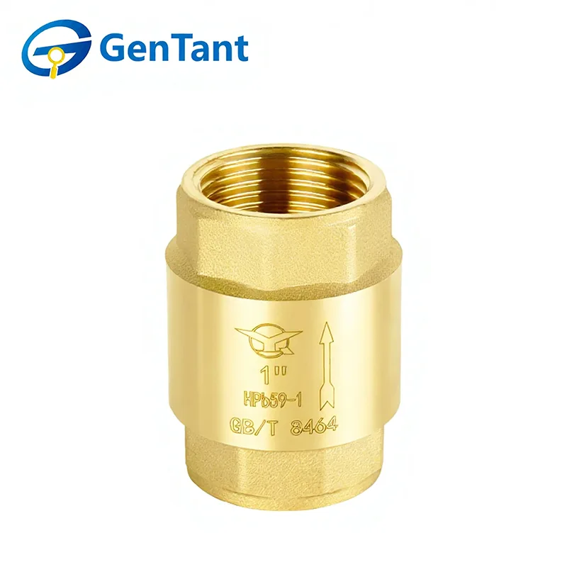 Sprężynowy zawór zwrotny